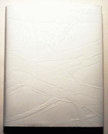 Skin, Surfaces and Shadows